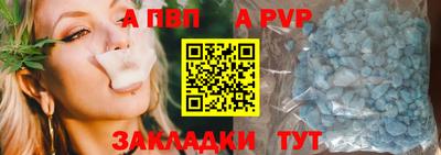 jwh Кингисепп