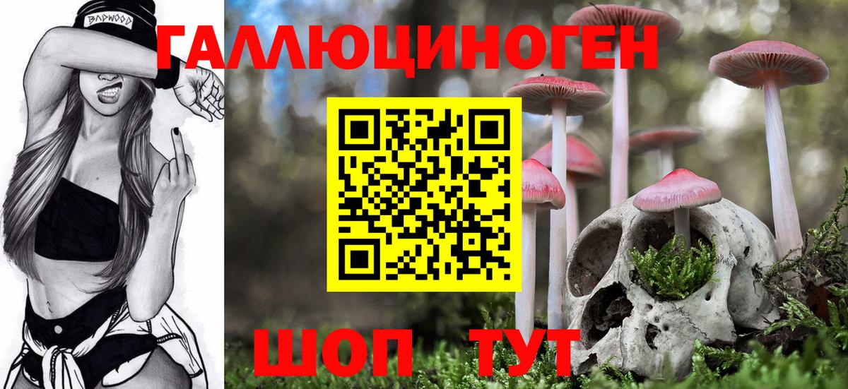 Псилоцибиновые грибы мицелий  Вход с VPN  Псилоцибиновые грибы Cubensis  Котовск 