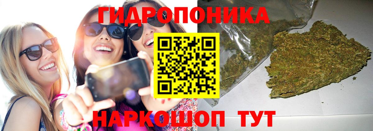 Марихуана планчик  Вход с VPN  МАРИХУАНА конопля  Котовск  Конопля Amnesia 